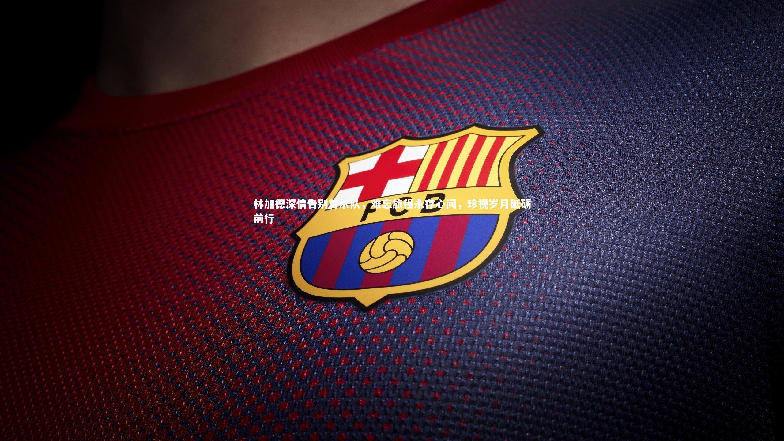 林加德深情告别首尔队，难忘旅程永存心间，珍视岁月砥砺前行