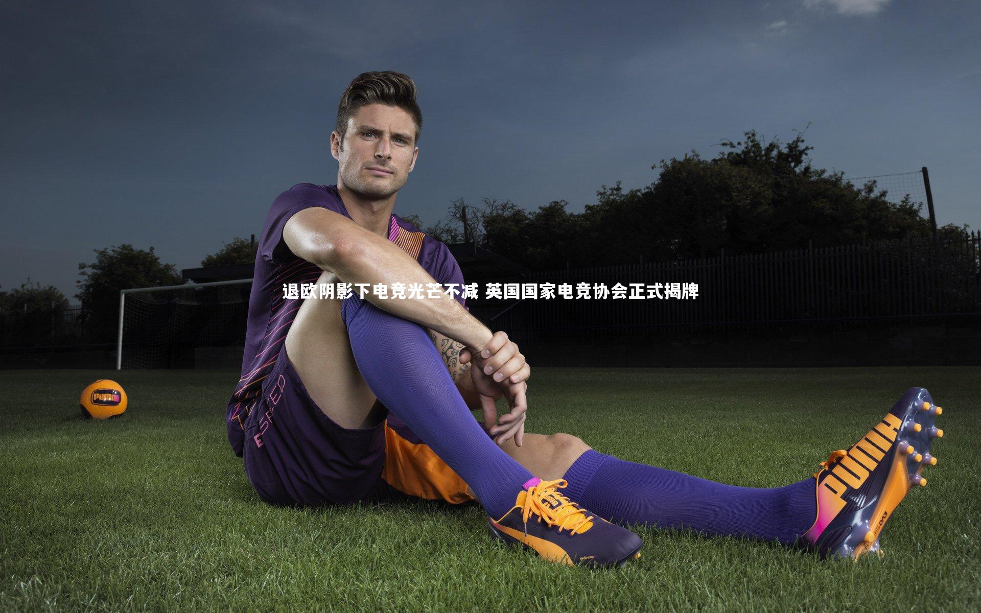 退欧阴影下电竞光芒不减 英国国家电竞协会正式揭牌